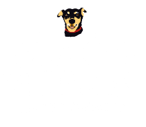 Misión4Patas
