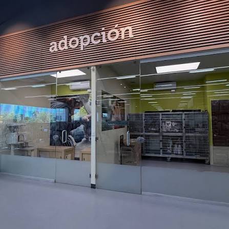Petco Galerías